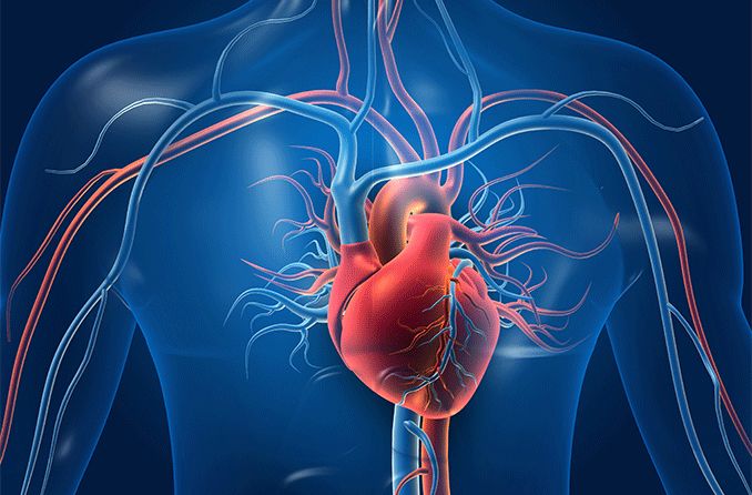 Four out of Ten Ugandans Display Symptoms of Heart Disease, Reports Reveal